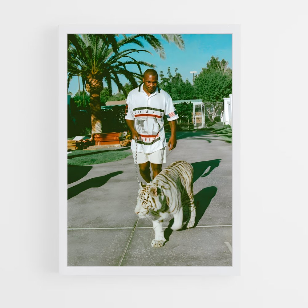 Poster Tiger King (vue 3)